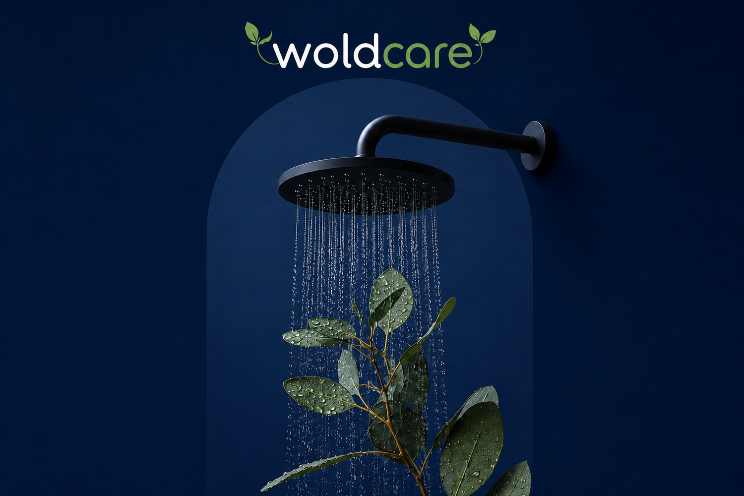 Les essentiels pour la douche